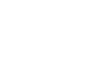 Nizam Foundation Logo